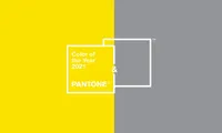 潘通 2021 年度色发布：PANTONE 17-5104 极致灰 + PANTONE 13-0647 亮丽黄