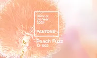 潘通 2024 年度色发布：PANTONE 13-1023 Peach Fuzz 柔和桃